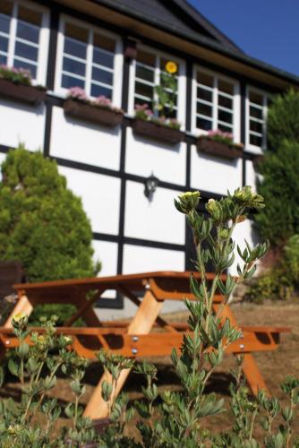 Garden, Wolfs Ferienhaus - Naturlich Eifel in Dorsel