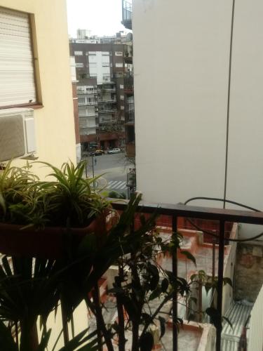 Calido en Parque Lezama, Buenos Aires (fotografie 3)