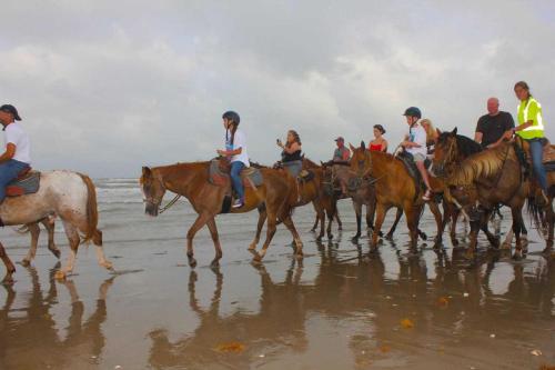 Florence I Condominiums by Padre Island Rentals - image 7