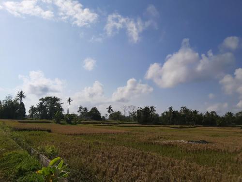 Ayuna Family Ubud