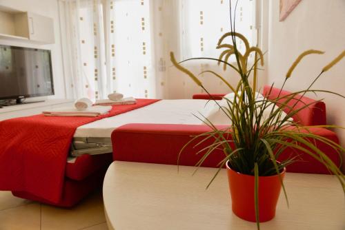 1Dest - Private Garden In Paradise 3