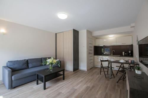 Studio Apartment - Słoneczna Góra 24 image 8
