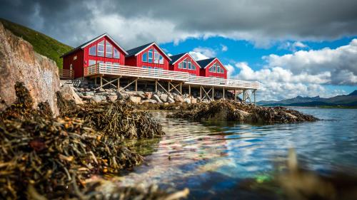 Lofoten Rorbu Lodge - image 3