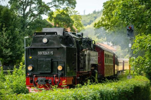 Villa Parkhaus in Wernigerode, Deutschland