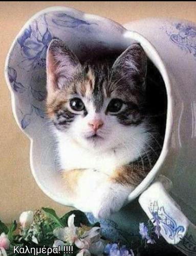  Manos & Maria House 2, Unterkunft in Markópoulon Oropoú