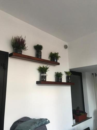 A casa di Titty - image 4