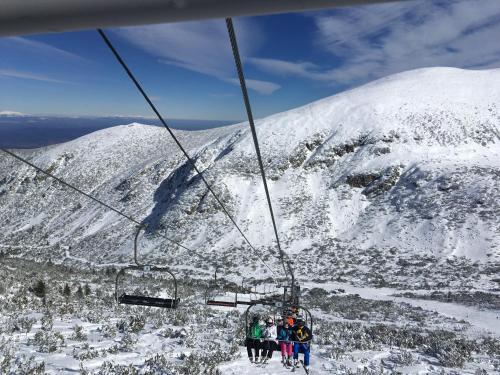 Studio in Hotel Flora Borovets