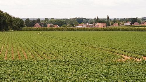 Vakantiewoning De Schuur Tienen