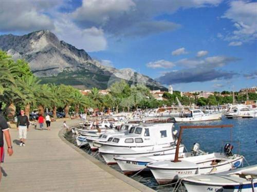  Rooms Centar Baška Voda in Baška Voda