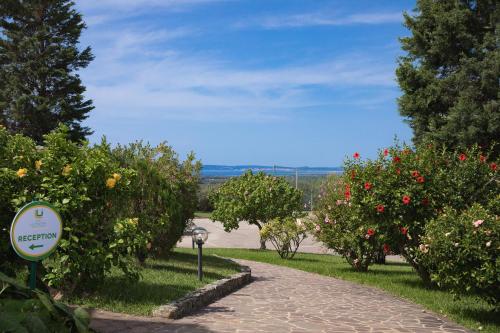 Lu'Hotel Porto Pino - image 2
