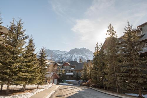 Comfy 2 Bdr Mountain Launch Pad, 3 Hot Tubs & Pool, KING Bed, Heated Parking