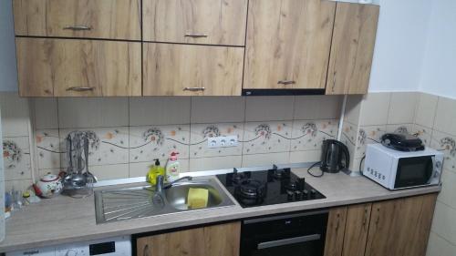 Apartament Lavinia in Călimănești