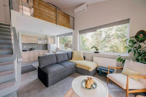 Loft Apartments - Βόδι