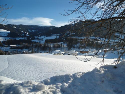 Ferienwohnung Brandtner Leogang - image 3