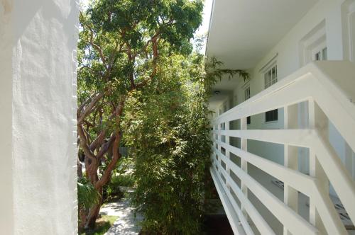 Casa Morada