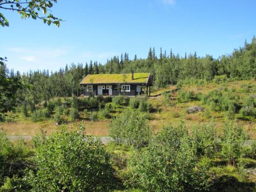 Linnaeus - 6 person cabin - Ål