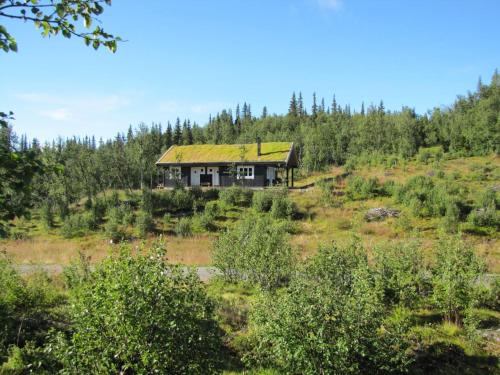 Linnaeus - 6 person cabin, Ål (foto 7)