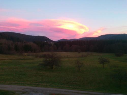 Chalet Gérardmer situé a LE THOLY