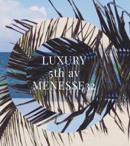 Luxury 5th Avenue Menesse 32