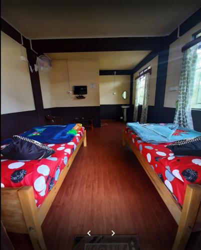 a room with two bunk beds and a computer desk, PEARLS HOMESTAY in Cherrapunji