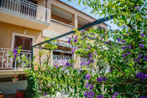  Andreas in Káto Korakiána