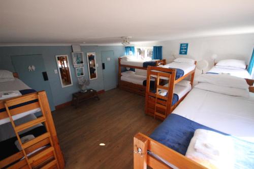 Saltycrax Backpackers and Adventures Room Type - Bed in 10-Bed Mixed Dormitory Room