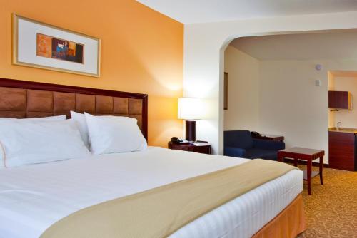 Holiday Inn Express Hotel & Suites Brooksville-I-75 by IHG in Ridge Manor, USA