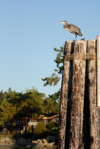 Galiano Oceanfront Inn & Spa