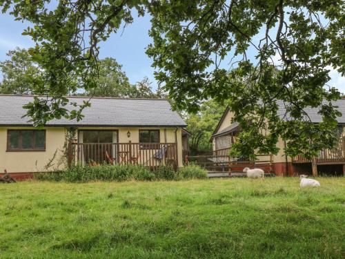 Woodpecker, Beaworthy gîte à louer Holsworthy