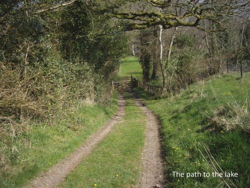 The Linhay Throwleigh - image 3