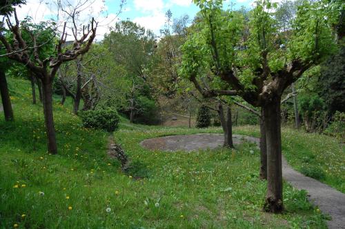 Can Salgueda - image 14