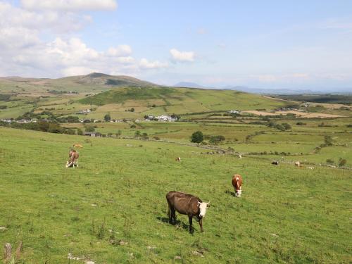 Pen y Groes