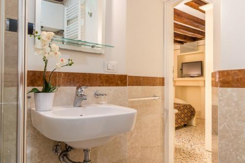 SAN MARCO JOY - image 2