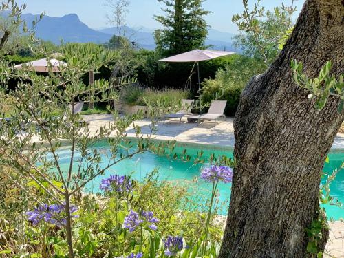 Maison d'Hôtes Bleu Azur - image 9