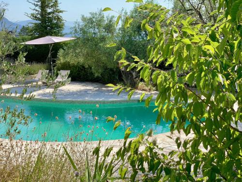 Maison d'Hôtes Bleu Azur - image 10