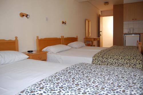 Nicos & Olympia Apartments - image 3