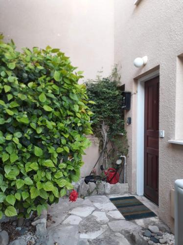 Olive Tree, Peyia (photo 8)