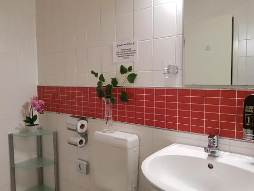 Single Room with Terrace