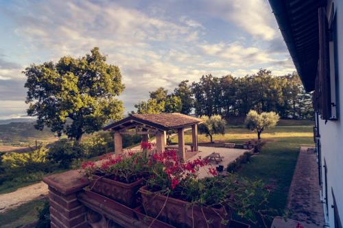 Agriturismo Il Beccafico Alpaca