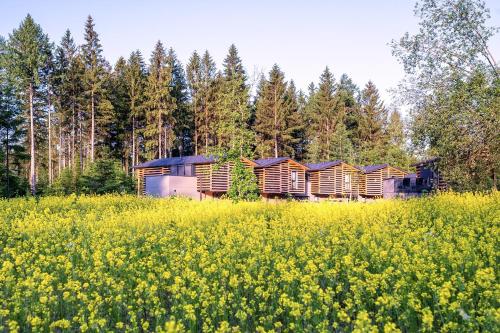 Center Parcs Park Allgäu Center Parcs Park Allgäu