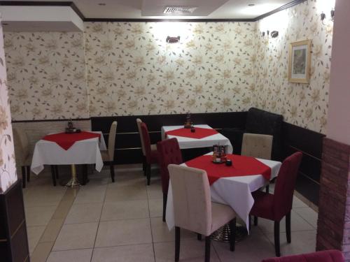 Hotel Elena - image 12