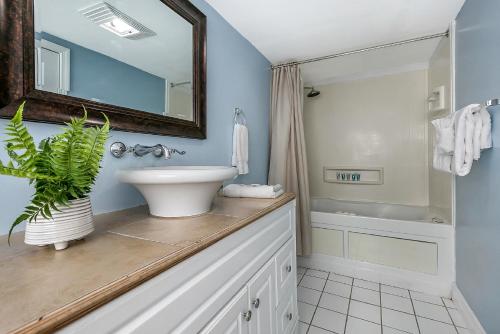 Express Studios Close to City Amenities - image 8