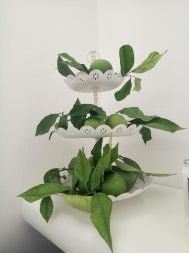 Dolci Agrumi - image 2