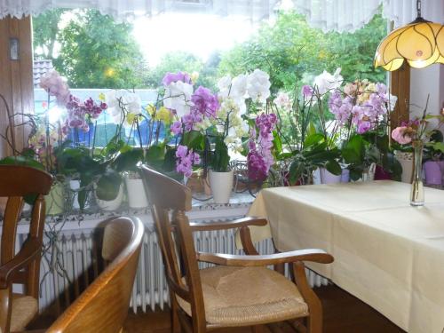 Hotel-Pension Stöber - image 12