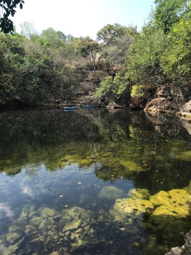 Cenote La Xtabay - Photo 4 of 19