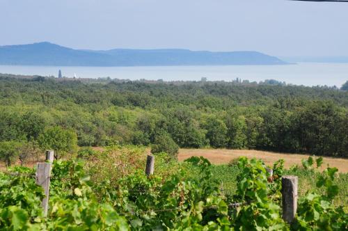  Tulipán Ház in Balatonudvari