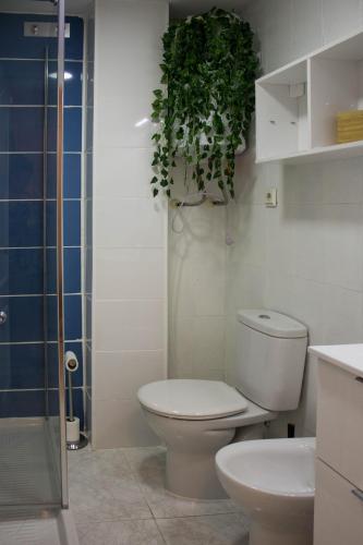 ESTUDIO EN ZONA CENTRO DE MALAGA, Málaga (fotografie 10)