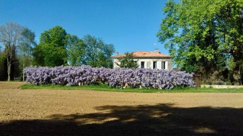 Chez Savary - Chambre d'hôtes - Varzay