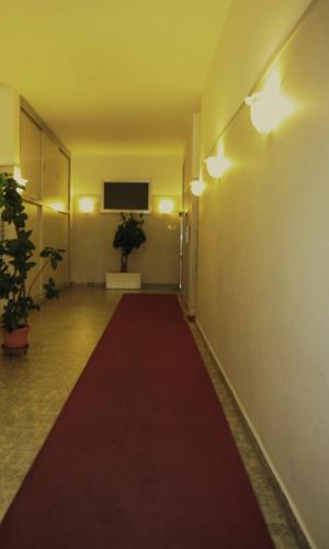 Star Hostel
