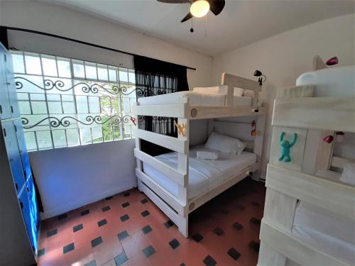 Noah boutique hostels Medellín, Medellín (zdjęcie 10)